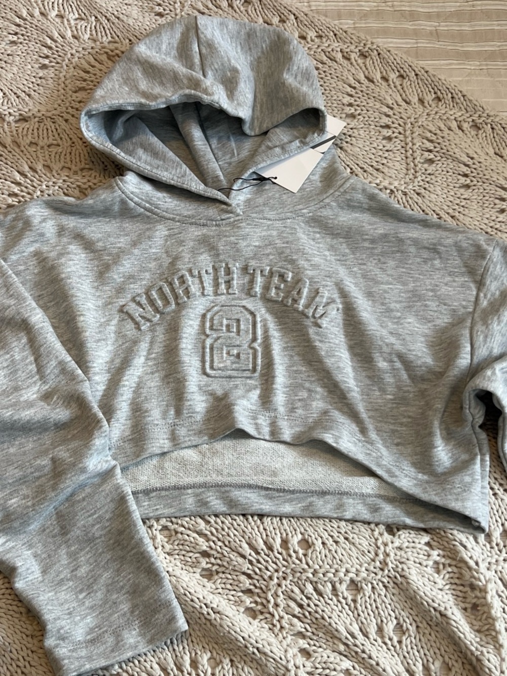 Zara Grey Cropped Hoodie
